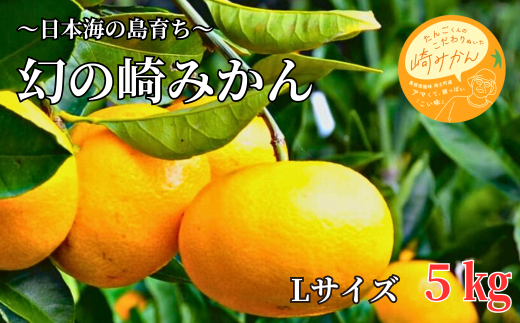 [期間限定]崎地区の崎みかん Lサイズ 5kg 期間限定 11月中旬より発送開始