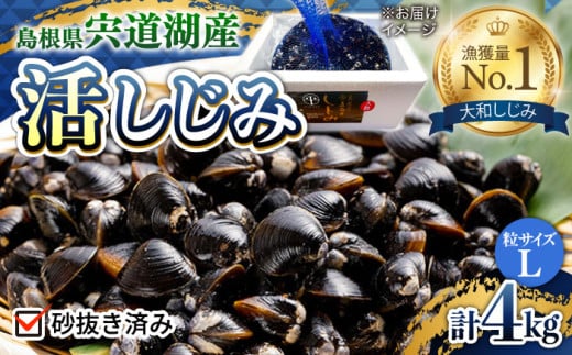 驚きの大容量！宍道湖産活大和しじみ大粒(L)4kg(砂はき済み) 島根県松江市/平野缶詰有限会社 [ALBZ017] 641510 - 島根県松江市