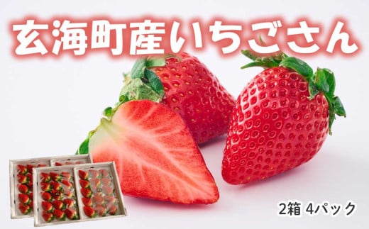 ★予約受付★平川いちご農園 佐賀県玄海町産「いちごさんDX」2024年1月～4月までに順次配送