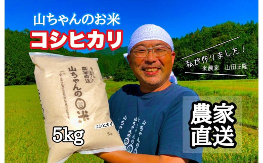 486.令和6年度産 農家直送「山ちゃんのお米」コシヒカリ5kg 残留農薬202項目検査済み 残留放射能測定済み  1516573 - 岐阜県八百津町