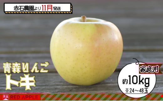 りんご 【 11月発送 】 家庭用 トキ 約 10kg 【 弘前市産 青森りんご  果物 フルーツ 食後 デザート 黄色りんご 濃厚な甘み 爽やかな香り 果汁たっぷり  】 1052499 - 青森県弘前市
