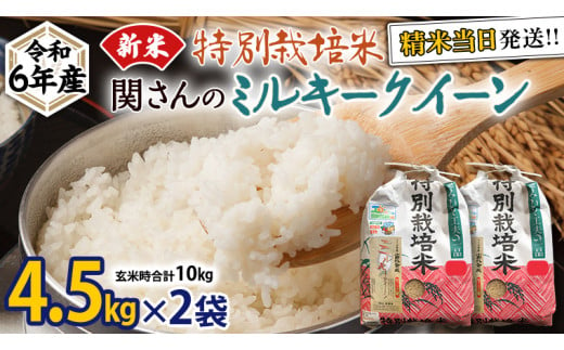 特別栽培米 》令和6年産 精米日出荷 関さんの「 ミルキークイーン 」 9kg × 2袋 ( 玄米時 20kg ) 新鮮 精米 米 こめ コメ  特別栽培農産物 認定米 新米 - 茨城県牛久市｜ふるさとチョイス - ふるさと納税サイト