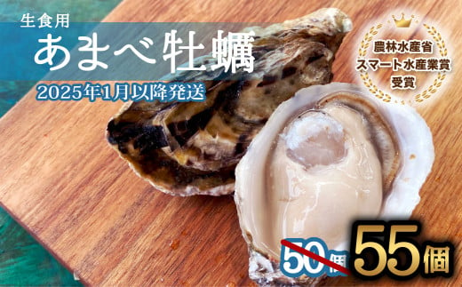 先行予約 あまべ牡蠣 55個 牡蠣 シングルシード 生食用 殻付き かき カキ オイスター 生ガキ 生牡蠣 生がき 生かき ギフト 貝 旨味 【2025年1月以降発送】 1125742 - 徳島県海陽町