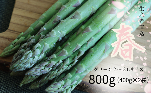 【グリーン2～3Lサイズ】朝採りアスパラ800g（400g×2袋 鮮度保持袋入り）【北海道/赤井川村アスパラ研究会】