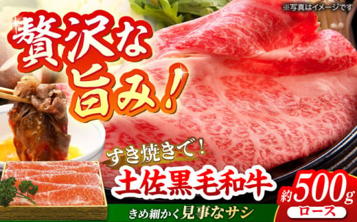 土佐黒毛和牛 ロース すき焼き用 約500g 【有限会社　蔵多堂】 [ATAE005] 444772 - 高知県高知市