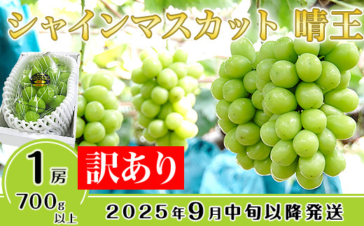 【訳あり】シャインマスカット晴王1房【2025年9月中旬～10月下旬発送予定】（いばら愛菜館） 830041 - 岡山県井原市