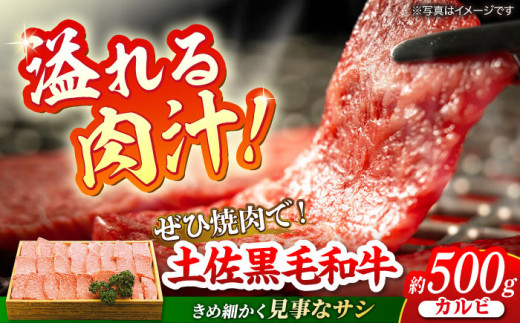 土佐黒毛和牛 カルビ 焼き肉 約500g 【有限会社　蔵多堂】 [ATAE012] 444779 - 高知県高知市