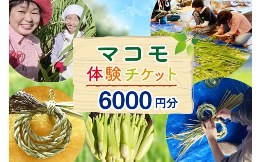 マコモ体験チケット（6,000円分）田植え 収穫 マコモ料理 手仕事体験 [マコモ農園さんさん 山梨県 韮崎市 20742713] 体験 子ども 子供 まこも 真菰 マコモ 真菰茶 まこも茶 マコモ茶 マコモダケ 体験型