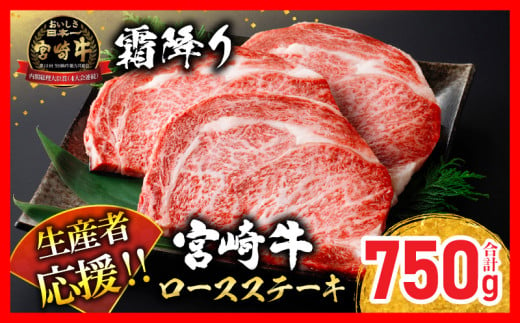 ≪お歳暮・冬ギフト2024≫生産者応援 宮崎牛 ロースステーキ 3枚(計750g) サーロイン リブロース 牛肉 黒毛和牛 国産 焼肉 BBQ おかず 人気 ギフト 贈り物 宮崎県 日南市 送料無料_DB26-243