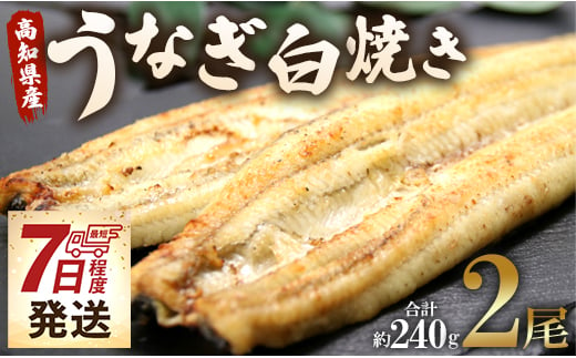 【スピード発送】うなぎ白焼 国産 鰻 2尾✕120g セット うなぎ屋きた本 (無頭) un-0017