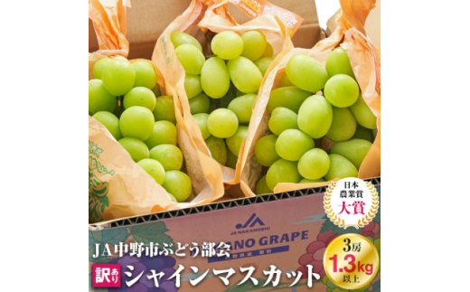 ＜2025年発送＞訳ありシャインマスカット3房1.3kg以上　ご自分へのご褒美　JA中野市から産直【1422800】 1325403 - 長野県中野市