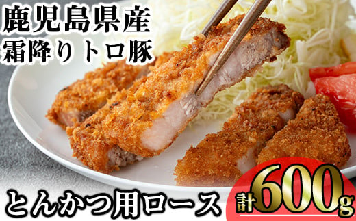 鹿児島県産霜降りトロ豚 とんかつ用ロース (計600g・200g×3枚) 鹿児島県産 豚肉 霜降り 【KNOT】 A570 1532944 - 鹿児島県曽於市