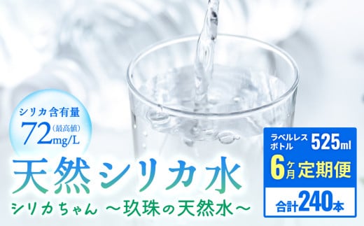 [定期便 6ヶ月] 天然 シリカ 水 525ml × 40本 ＜シリカちゃん〜玖珠の天然水〜＞ ラベルレス 天然水 シリカ水 ミネラルウォーター 国産 1533547 - 大分県玖珠町