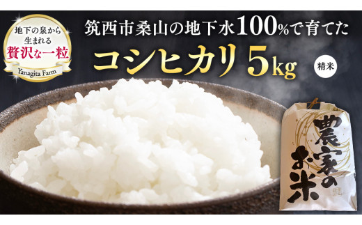 地下水100％で作る美味しい 「 コシヒカリ 」 5kg 令和7年産 米 お米 白米 コメ こしひかり 茨城県 精米 新生活 応援 [DU017ci]