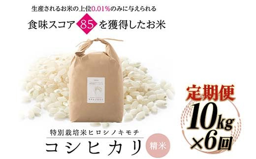 【6回定期】特別栽培米 コシヒカリ ヒロシノキモチ 精米 10kg 総計60kg ブランド米 銘柄米 国産 米 お米 日本米 ギフト 贈り物 備蓄 防災 食品 陽咲玲 はるざれ F6T-555