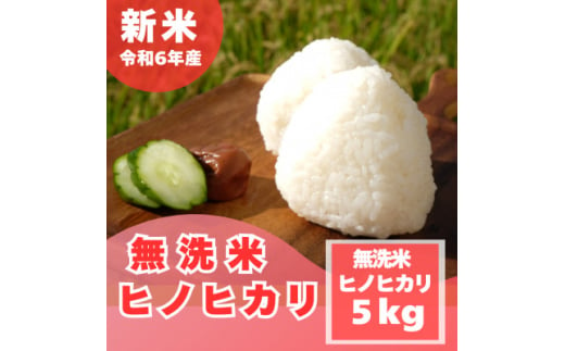 ＜令和6年産　新米＞＜無洗米＞奈良県産 ヒノヒカリ 5kg【1459683】 1245248 - 奈良県大和高田市