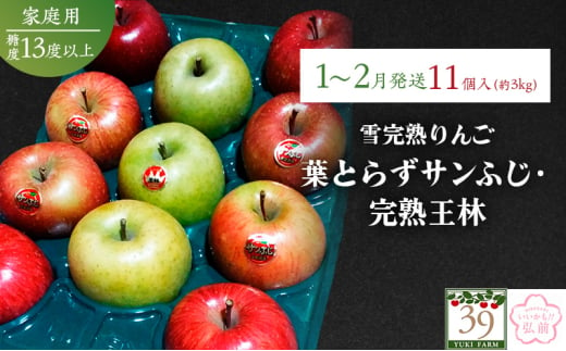 りんご 【 数量限定 】1～2月配送 雪完熟りんご 糖度13度以上 家庭用 葉とらずサンふじ ・ 完熟 王林 11個入り【 弘前市産 青森りんご 】 1536281 - 青森県弘前市