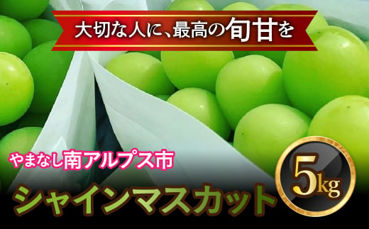 ＜2025年発送分先行予約＞山梨県南アルプス市産シャインマスカット　秀等品　約5ｋｇ　8～11房 ALPAH043