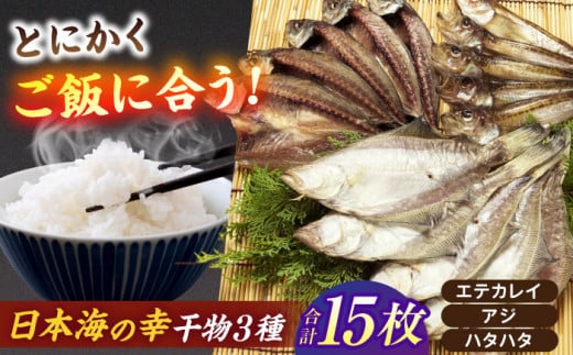 【お歳暮対象】一度食べたらやみつき！恵曇一夜干しセット3種×5尾 島根県松江市/有限会社丸三商店 [ALCP002] 1535429 - 島根県松江市