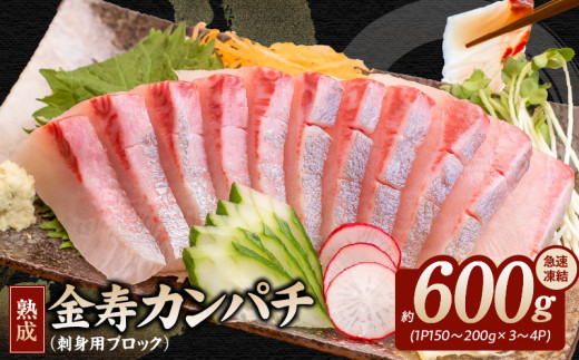 熟成金寿カンパチ刺身用ブロック600ｇ(急速凍結) N015-YA856
