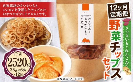 【 12ヶ月 定期便 】 さつまいも と レンコン の 野菜 チップス セット 6袋×12回 計72袋 / お菓子 芋 サツマイモ 薩摩芋 さつま芋 れんこん 蓮根 おやつ