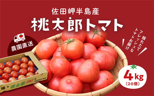 【産地直送】愛媛県伊方町産 桃太郎トマト（4kg、20～24玉）◇ 229176 - 愛媛県伊方町