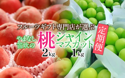 [25年発送先行予約]山梨県笛吹市産 フルーツ専門店が選ぶ厳選フルーツ2種定期便 桃・シャインマスカット 105-022