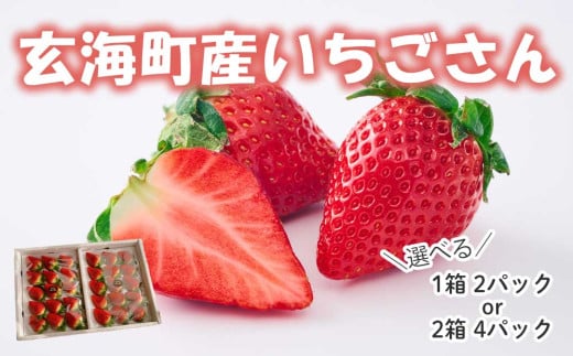 予約受付★[内容量が選べる]平川いちご農園 佐賀県玄海町産「いちごさん」2024年1月〜4月までに順次配送