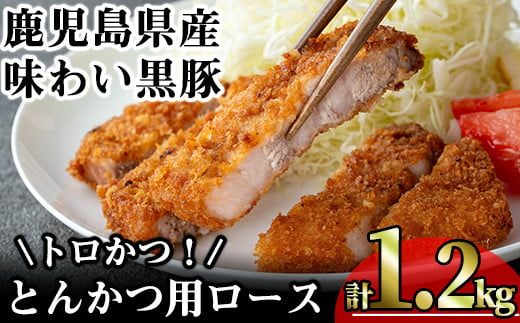 かごしま味わい黒豚 とんかつ用ロース【トロかつ】 (計1.2kg・200g×6枚) 鹿児島県産 豚肉 黒豚 【KNOT】 A559 1532733 - 鹿児島県曽於市