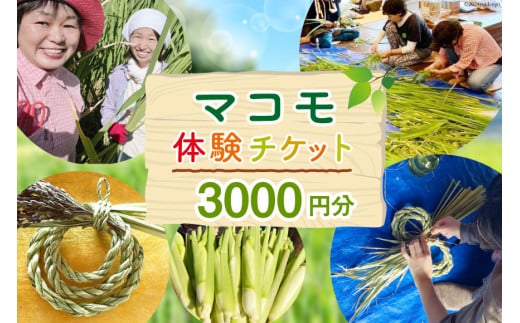 マコモ体験チケット（3,000円分）田植え 収穫 マコモ料理 手仕事体験 [マコモ農園さんさん 山梨県 韮崎市 20742712] 体験 子ども 子供 まこも 真菰 マコモ 真菰茶 まこも茶 マコモ茶 マコモダケ 体験型