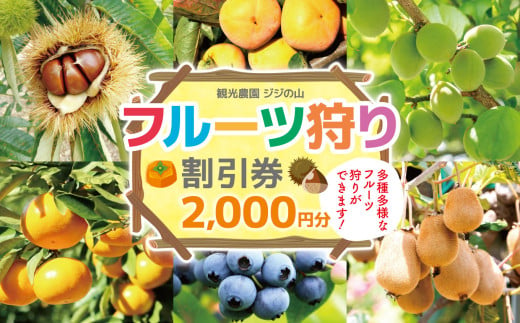 フルーツ狩り利用券 2000円分 | 観光農園ジジの山 フルーツ ブルーベリー キウイフルーツ 柿 栗 柑橘 子ども 家族 イベント チケット 利用券 観光 千葉県 君津市