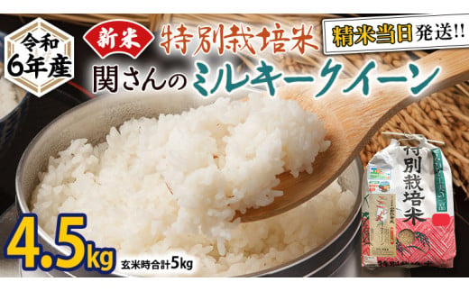 特別栽培米 》令和6年産 精米日出荷 関さんの「 ミルキークイーン 」 9kg × 2袋 ( 玄米時 20kg ) 新鮮 精米 米 こめ コメ  特別栽培農産物 認定米 新米 - 茨城県牛久市｜ふるさとチョイス - ふるさと納税サイト