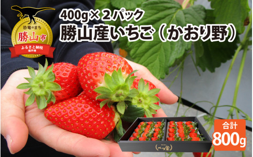 【先行予約】勝山産いちご（かおり野）400g×2パック ※2024年12月中旬より順次発送 [A-045006] 720841 - 福井県勝山市