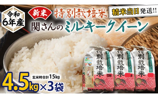 特別栽培米 》令和6年産 精米日出荷 関さんの「 ミルキークイーン 」 9kg × 2袋 ( 玄米時 20kg ) 新鮮 精米 米 こめ コメ  特別栽培農産物 認定米 新米 - 茨城県牛久市｜ふるさとチョイス - ふるさと納税サイト