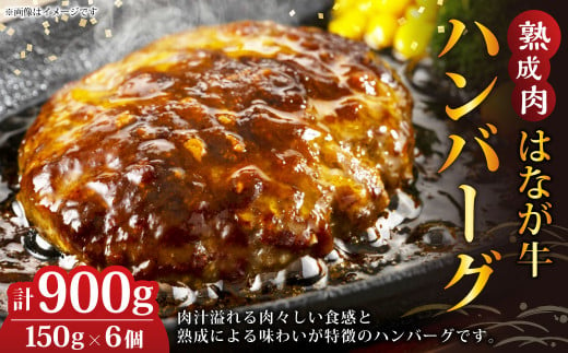 熟成肉 はなが牛ハンバーグ 計900g (150g×6個) ハンバーグ はなが牛 牛肉 肉 惣菜 おかず 個包装 小分け 冷凍 愛媛県(621)