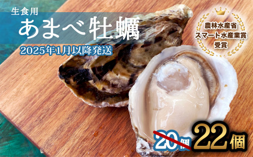 先行予約 あまべ牡蠣 22個 牡蠣 シングルシード 生食用 殻付き かき カキ オイスター 生ガキ 生牡蠣 生がき 生かき ギフト 貝 旨味 【2025年1月以降発送】 1120864 - 徳島県海陽町