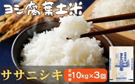 令和6年産<定期便>ヨシ腐葉土米 精米30kg(10kg×3回発送)ササニシキ 宮城県 石巻市 定期便 毎月 3回 10kg 米 お米 850892 - 宮城県石巻市