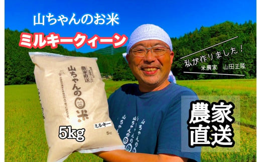 487.令和6年度産 農家直送「山ちゃんのお米」ミルキークイーン5kg 残留農薬202項目検査済み 残留放射能測定済み