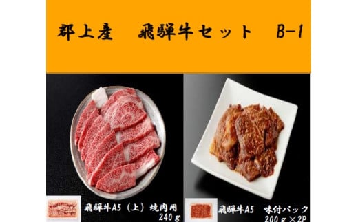 郡上産飛騨牛セットB-1[A5等級]味付肉200g×2P・(上)焼肉240g