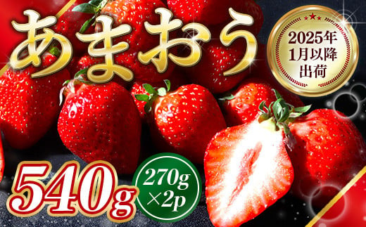 福岡県産 あまおう 540g いちご 果物 フルーツ ギフト 季節限定 先行予約 2025年1月以降より順次発送 TY052-1