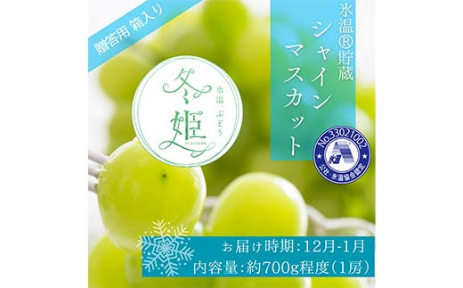 [2024年12月〜2025年1月発送]氷温貯蔵マスカット冬姫 1房 ぶどう フルーツ 果物 マスカット シャインマスカット