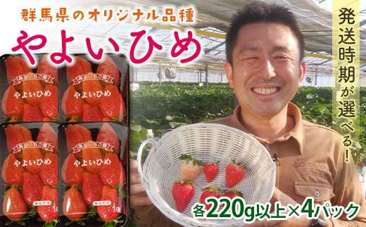 群馬県産いちごセット[お得なやよいひめ4パック ][2025年1月4日〜3月31日発送](各220g以上×4パック) いちご やよいひめ 群馬県産 オリジナル品種 苺 イチゴ セット 詰合せ 果物 フルーツ 食品 F21E-246