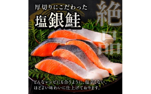 京都府京丹後市のふるさと納税 お手軽！絶品！厚切り　塩銀鮭切身 約1kg（プロトン凍結　訳あり　不揃い）塩鮭 焼き鮭 鮭 切り身　YK00236