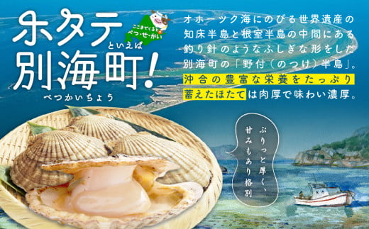 緊急支援品】 朝どり 新鮮出荷 活ホタテ 中サイズ 3kg前後(10~16枚前後) 北海道 野付産 食べ応え抜群【UY0000011】（ほたて ホタテ  野付 野付産ホタテ 北海道 別海町 活ホタテ） - 北海道別海町｜ふるさとチョイス - ふるさと納税サイト