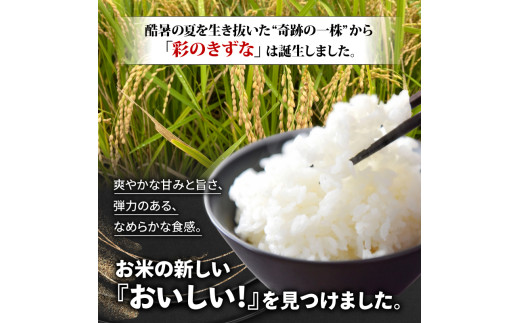 米 玄米 30kg 新米 令和6年産 彩のきずな ブランド米 農家 産地直送 リピーター 多数 お米 こめ 返礼品 季節限定 期間限定 埼玉県 羽生市  - 埼玉県羽生市｜ふるさとチョイス - ふるさと納税サイト