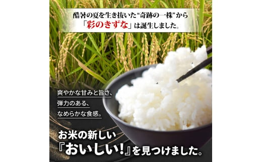 米 精米 30kg 新米 令和6年産 彩のきずな ブランド米 農家 産地直送 リピーター 多数 お米 こめ 返礼品 季節限定 期間限定 賀山友の会第二  埼玉県 羽生市 - 埼玉県羽生市｜ふるさとチョイス - ふるさと納税サイト