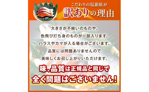 京都府京丹後市のふるさと納税 お手軽！絶品！厚切り　塩銀鮭切身 約1kg（プロトン凍結　訳あり　不揃い）塩鮭 焼き鮭 鮭 切り身　YK00236