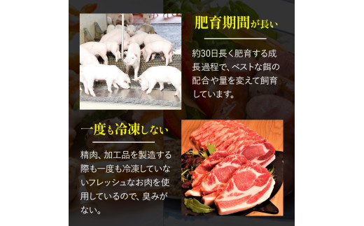 高知県四万十町のふるさと納税 【農林水産大臣賞・受賞記念】◆四万十町産◆ブランド豚の3種ブロック詰め合わせ （3kgセット） Adf-68 豚肉 ロース バラ モモ ウデ 肩ロース 冷凍