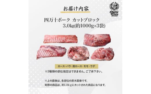 高知県四万十町のふるさと納税 【農林水産大臣賞・受賞記念】◆四万十町産◆ブランド豚の3種ブロック詰め合わせ （3kgセット） Adf-68 豚肉 ロース バラ モモ ウデ 肩ロース 冷凍