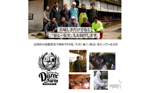 高知県四万十町のふるさと納税 【農林水産大臣賞・受賞記念】◆四万十町産◆ブランド豚の3種ブロック詰め合わせ （3kgセット） Adf-68 豚肉 ロース バラ モモ ウデ 肩ロース 冷凍